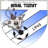 阿迈勒提兹尼特logo